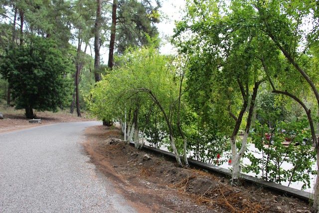 Muzeum wykopalisk w Faselis